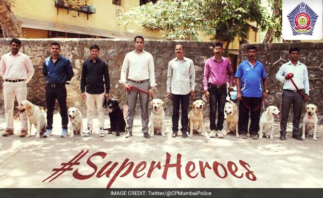 Mumbai Police's 'Superheroes' Are Winning Twitter, Fur Sure
