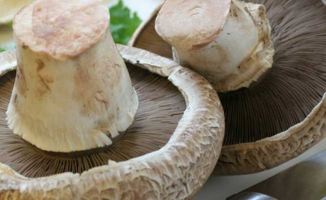 3 People Including A Child Die After Consuming Wild Mushrooms In Mizoram