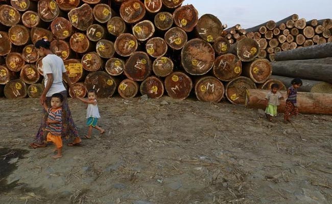 Myanmar Bans Lucrative Logging In Bid To Preserve Forests