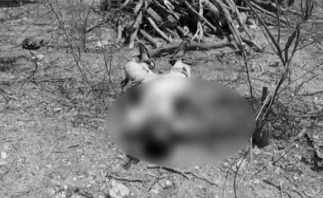 Forest Officers In Andhra Pradesh Killed By Smugglers They Caught