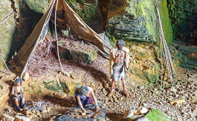 Diseases Carried By Humans Linked To Neanderthal Extinction: Study