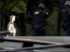 Man In 'Panda Suit' Who Stormed Baltimore Fox Station Shot By Police