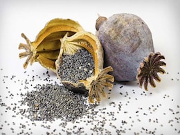 Poppy Husk Worth Rs 40 Lakh Seized In Indore, Three Arrested Poppy Husk Worth Rs 40 Lakh Seized In Indore, Three Arrested