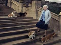Prince Andrew, Ex-Wife To Look After Queen Elizabeth's Corgi Dogs