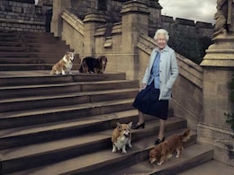 Queen Elizabeth's Corgis Take Centre Stage At London Exhibition Queen Elizabeth's Corgis Take Centre Stage At London Exhibition