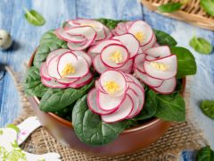 10 Health Benefits of Radish: The Power Source of Potassium, Vitamin C and Fiber 10 Health Benefits of Radish: The Power Source of Potassium, Vitamin C and Fiber