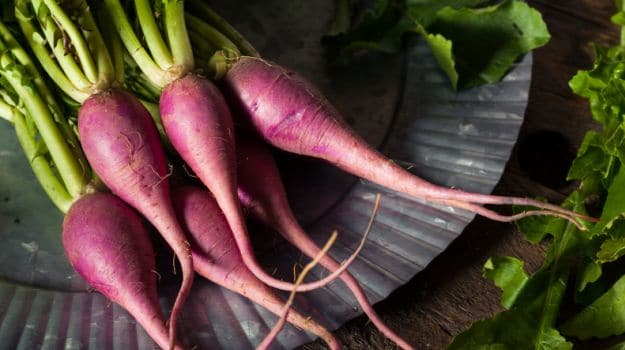 purple radish