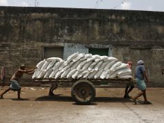 Will India Need to Start Importing Sugar? Will India Need to Start Importing Sugar?