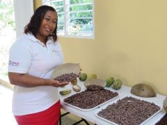 Chocolate Makers Change Lives In The Caribbean Chocolate Makers Change Lives In The Caribbean