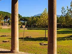 UK Rug Designer Accidently Discovers Ancient Roman Villa In His Garden