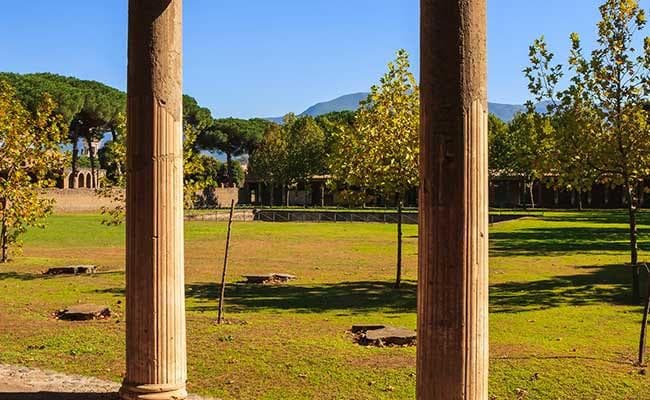 UK Rug Designer Accidently Discovers Ancient Roman Villa In His Garden