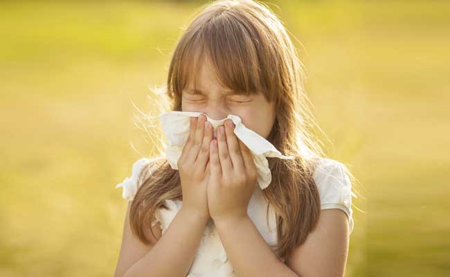 Home Remedies For Sneezing: लगातार छींक आने से हैं परेशान, तो इन कारगर घरेलू उपायों से मिलेगा तुरंत आराम!