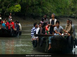 Bengal Assembly Polls: 1,000 Personnel Moved By Boats In Sundarbans Islands Bengal Assembly Polls: 1,000 Personnel Moved By Boats In Sundarbans Islands