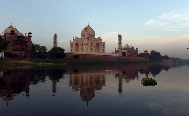 Parts Of Taj Mahal Turning Greenish-Black Due To Insect Faeces: Government