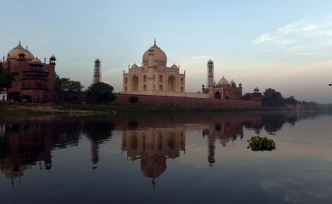 Green Pigment On Taj's Walls, Chief Minister Akhilesh Yadav Wants Answers