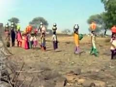 Telangana's Drought Story In One Line: These Women, Walking Single-File