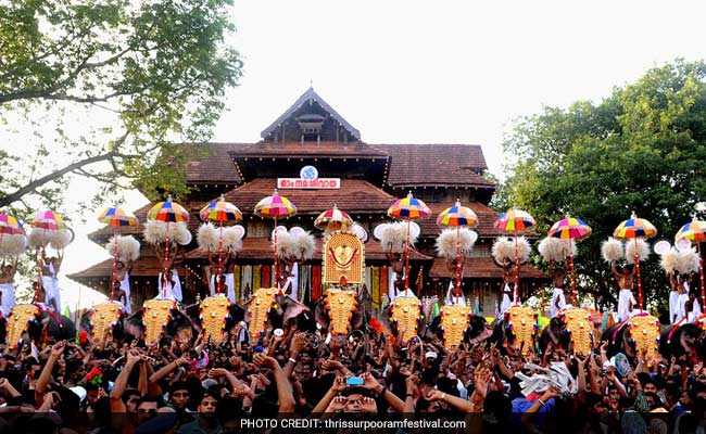 Recently Concluded Thrissur Pooram Violated Animal Rights, Alleges Activist