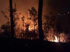 Uttarakhand Forest Fires: 6,000 People Engaged In Controlling Blaze