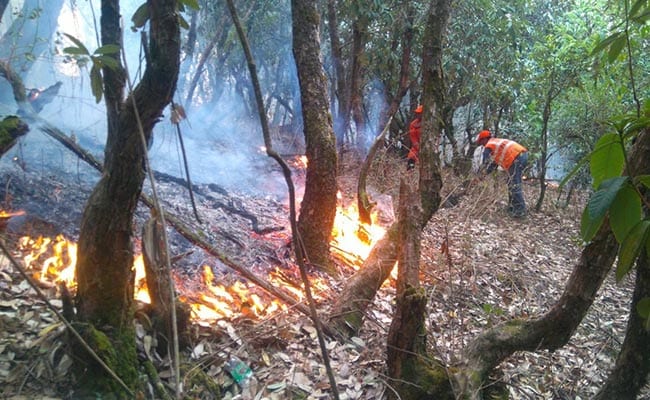 Home Minister Rajnath Singh Reviews Forest Fire Situation In Uttarakhand