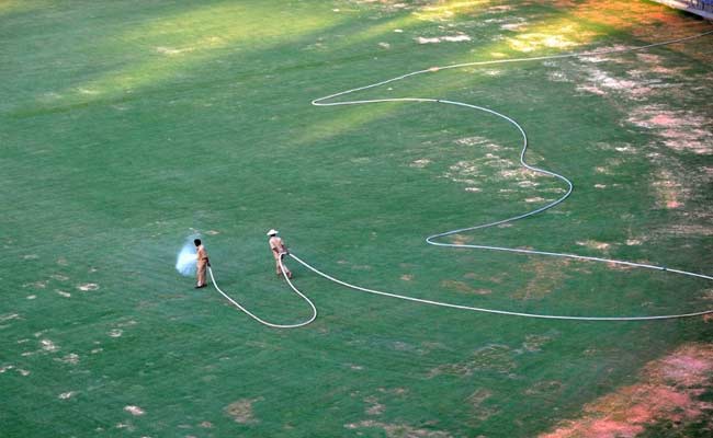 'People More Important Or IPL?' Court Raps Mumbai Cricket Body Over Water