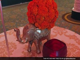 Shahi Korma To Sharifa Kulfi, 'Desi' Delights For Royal Couple At Gala Dinner Shahi Korma To Sharifa Kulfi, 'Desi' Delights For Royal Couple At Gala Dinner