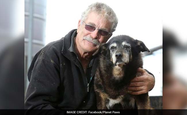 World's 'Oldest Dog' Dies in Australia