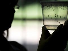 Baby Born In Spain With Zika-Caused Microcephaly, First In Europe: Report