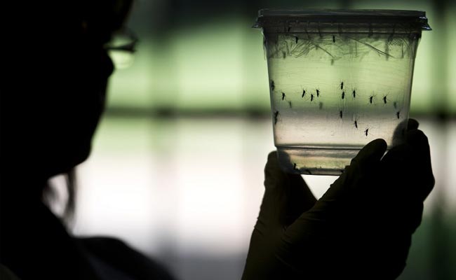 Protein That Swallow Up, Quarantine Zika Virus Identified