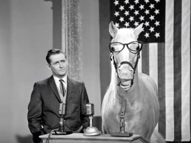 Alan Young, Star of Mr. Ed, Dies at 96