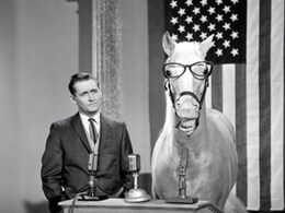 Alan Young, Star of <i>Mr. Ed</i>, Dies at 96 Alan Young, Star of <i>Mr. Ed</i>, Dies at 96
