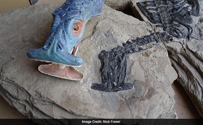 Scientists Reconstruct Baffling 250-Million-Year-Old Aquatic Reptile With A Strange Hammerhead Mouth