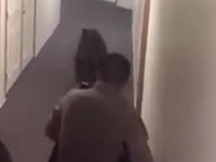 Firefighters Shoo Away Baby Bear Rummaging Through Man's Refrigerator Inside Second Floor Apartment