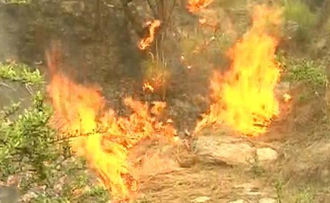 30 Km From Uttarakhand's Bhimtal, How A New Fire Spread Within Minutes