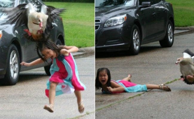 Going Viral: Pics of Little Girl vs Angry Bird Makes Twitter ROFL
