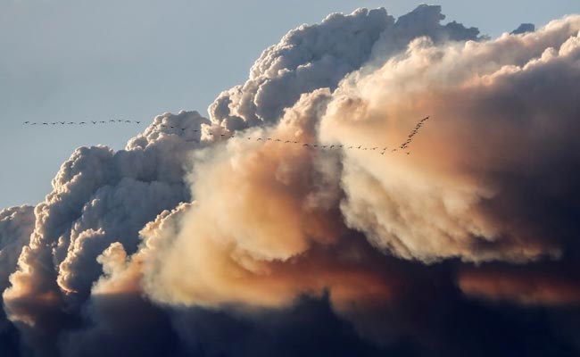 Helicopters Lead Convoy Through Fire-Ravaged Canadian City