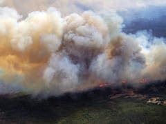 Humans Probably Caused Fort McMurray Wildfire: Canadian Police