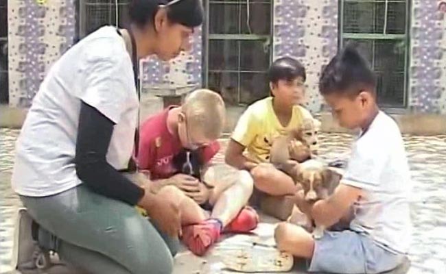 In Bengaluru, A Weekend Play Date For Children And Animals