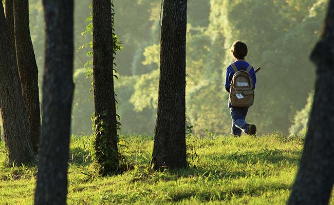 Japanese Boy Disappears After Parents Leave Him In Forest As Punishment