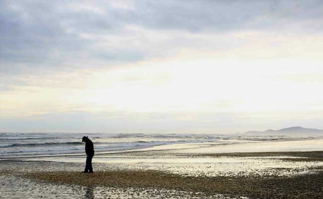 Wave Of Dead Sea Creatures Hits Chile's Beaches