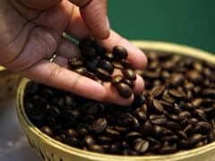 India's Coffee Output To Fall To Lowest In 2 Decades: Industry Body