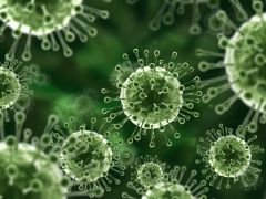 Germs May Cause Type 1 Diabetes: Study Germs May Cause Type 1 Diabetes: Study