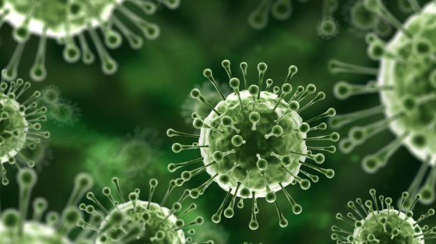 Germs May Cause Type 1 Diabetes: Study