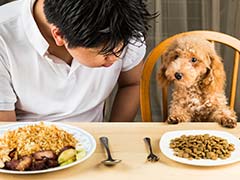 Dog's Dinner: Swedish Restaurant Adds Canine Menu