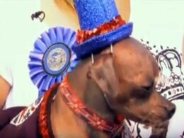 'He Really Makes Up For It With His Personality': World's Ugliest Dog Wins Hero Award 'He Really Makes Up For It With His Personality': World's Ugliest Dog Wins Hero Award