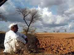 Fear Of Drought As Odisha Records Highest Monsoon Deficit This Century