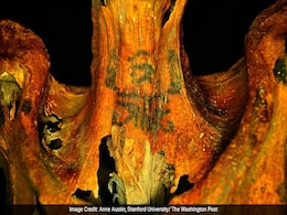 Researchers Find Fabulous Tattoos On 3,000-Year-Old Remains Of Egyptian Woman Researchers Find Fabulous Tattoos On 3,000-Year-Old Remains Of Egyptian Woman