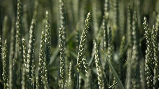 Digital Farming Could Spell Shake-Up For Crop Chemicals Sector