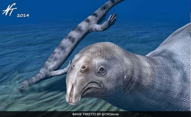 Meet The World's First Plant-Eating Marine Reptile