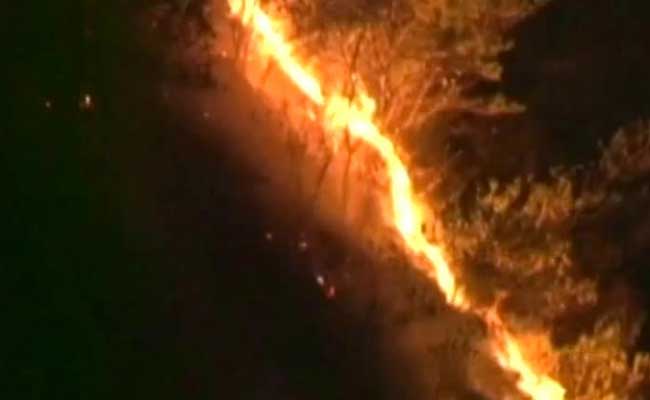 Forest Fires Engulf Large Area Near Mata Vaishno Devi Shrine
