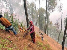 To Stop The Next Forest Fire, Satellite Alerts Begin, Air Tankers On Radar To Stop The Next Forest Fire, Satellite Alerts Begin, Air Tankers On Radar